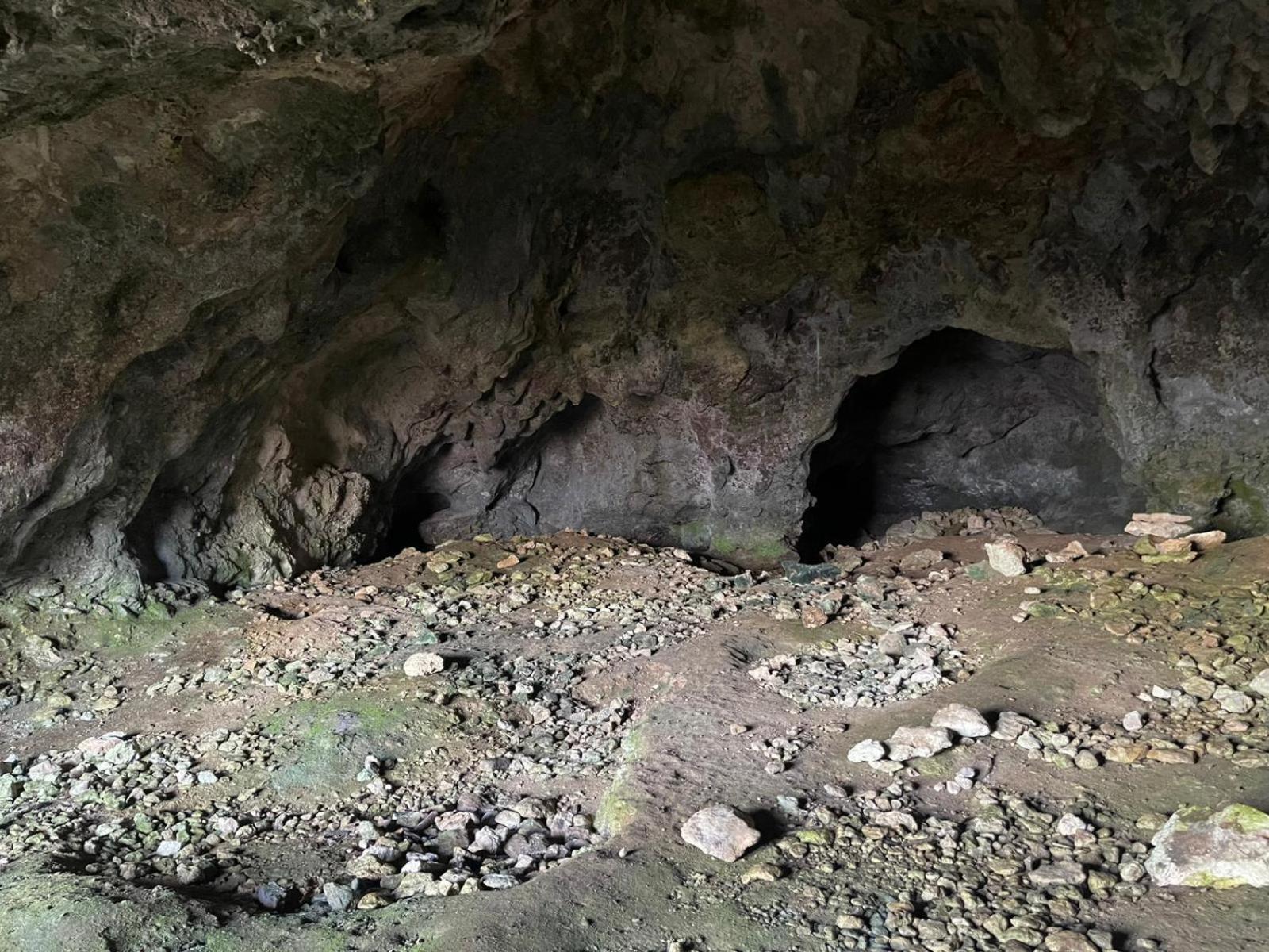 La Torretta - Incantevole Appartamento Nei Colli Berici Nanto Eksteriør billede