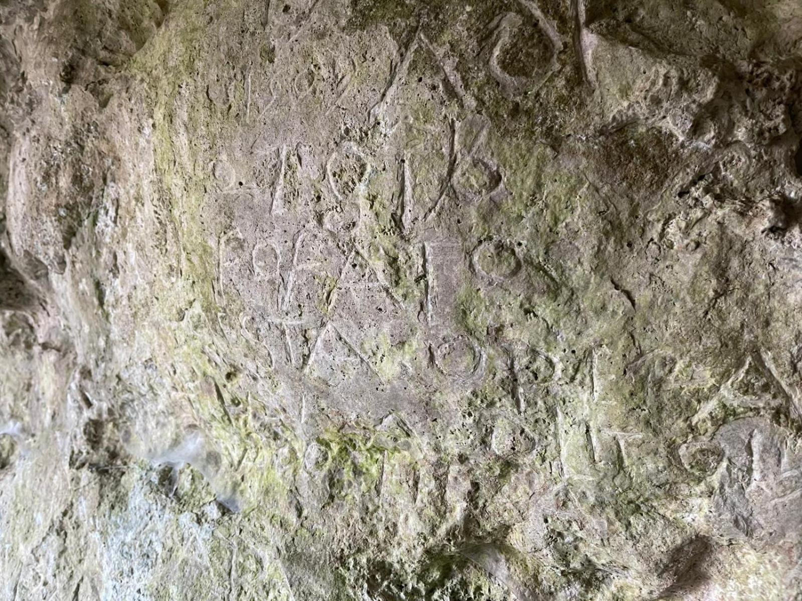 La Torretta - Incantevole Appartamento Nei Colli Berici Nanto Eksteriør billede