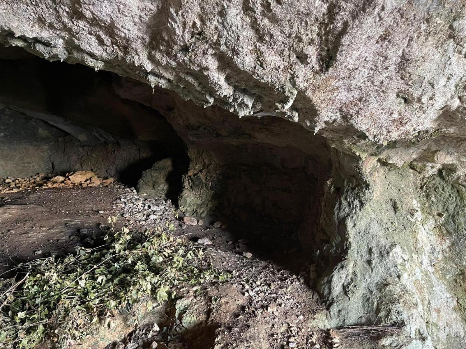 La Torretta - Incantevole Appartamento Nei Colli Berici Nanto Eksteriør billede