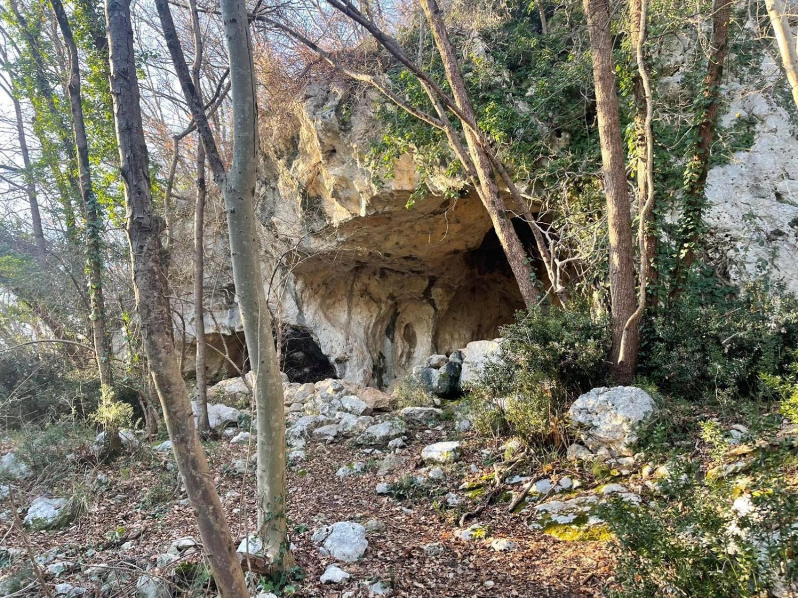 La Torretta - Incantevole Appartamento Nei Colli Berici Nanto Eksteriør billede